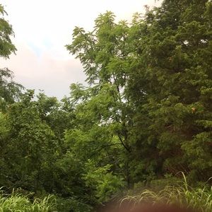 Meet your Posher, Nathan